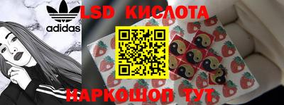 гидропоника Будённовск