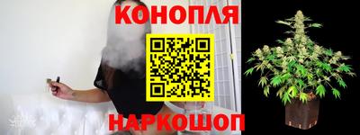 гидропоника Будённовск