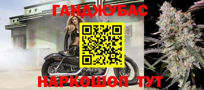 гидропоника Будённовск